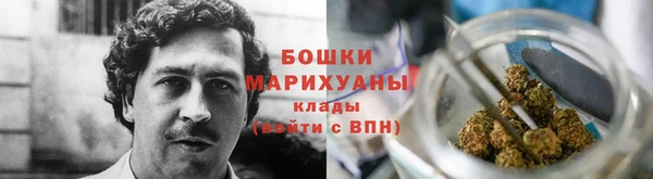 дживик Ветлуга
