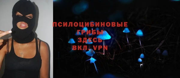 ГАЛЛЮЦИНОГЕННЫЕ ГРИБЫ Бронницы