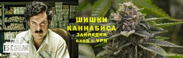 ГАЛЛЮЦИНОГЕННЫЕ ГРИБЫ Бронницы