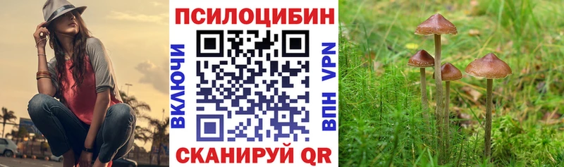 Галлюциногенные грибы прущие грибы  закладки  Верхний Уфалей 