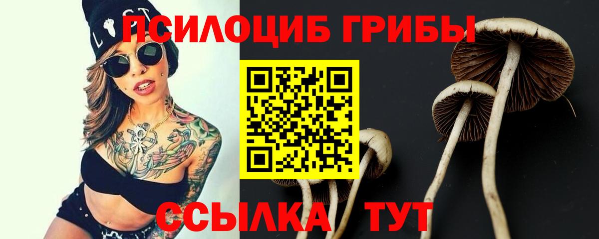 Галлюциногенные грибы мухоморы  Вход с VPN  купить наркотики цена  Верхний Уфалей  Галлюциногенные грибы MAGIC MUSHROOMS 
